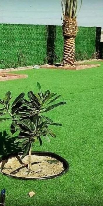 تنسيق حدائق